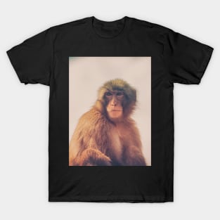 APE II T-Shirt